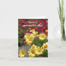 Search for wonderful photography Flowers