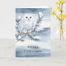 Search for snowy owl christmas cards Winter