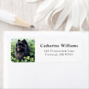 Search for saints return address labels Pets