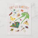 Search for eric postcards Eric carle illustration