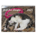 Search for funny cat meme office supplies Pets