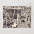 Search for colonial postcards Vintage