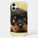 Search for rottweilers iphone cases Puppy