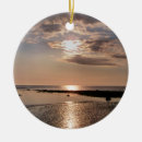 Search for skies christmas tree decorations Sunsets