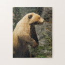 Search for hunter hunting puzzles Wildlife