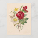Search for vintage botanical print postcards Garden