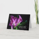 Search for grandma sympathy cards Bereavement