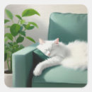 Search for sleeping cat stickers Cute