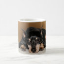 Search for miniature pinscher mugs Canine