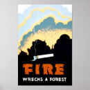Search for forest fire Forest fires