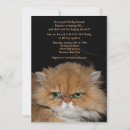 Search for angry cards invites Feline