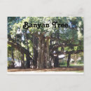 Search for banyan postcards Landscape