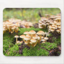 Search for mushroom mousepads Moss