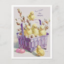 Search for easter candy postcards Chicks