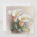 Search for calla cards Floral