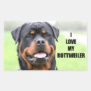 Search for rotties stickers Pet