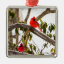 Search for scene christmas tree decorations Red