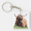 Search for highland cow key rings Scotland