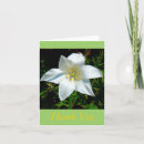 Search for kind photography Floral