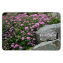 Search for gratitude magnets Thanks
