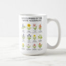 Search for native plants mugs Watercolor