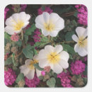 Search for desert flower stickers Pink