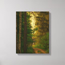 Search for birch tree forest canvas prints Trees