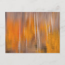 Search for abstract tree postcards Impressionistic