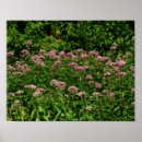 Search for weeding art For her