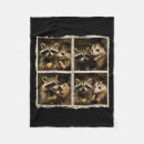 Search for raccoon blankets Video