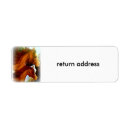 Search for pony return address labels Ponies