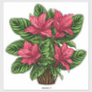 Search for poinsettia flower stickers Plant
