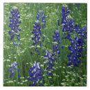 Search for adams tiles Flower