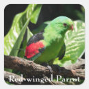 Search for red parrot stickers Animal