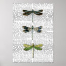 Search for vintage dragonfly posters Steampunk