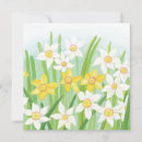 Search for daffodil easter cards Floral