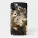 Search for brown cow iphone cases Cute