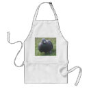 Search for feathered birds aprons Wildlife