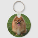 Search for pomeranian dog key rings Animal