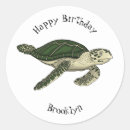 Search for turtle cartoon stickers Green