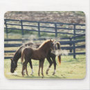Search for full length mousepads Grazing