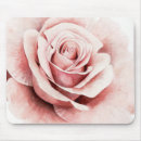 Search for rose pink electronics Flowers