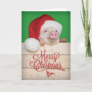 Search for piggy christmas cards Pet