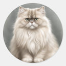 Search for cat breeds stickers Pet