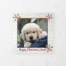 Search for rose christmas cards Snowflakes