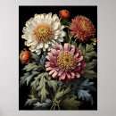 Search for asterism posters Asters