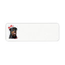 Search for rottie return address labels Rottweiler