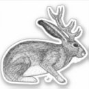 Search for rabbit drawing stickers Illustration