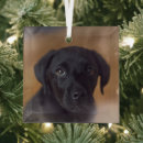 Search for labrador retriever christmas tree decorations Animal