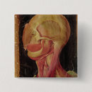 Search for anatomically badges Hieronymus